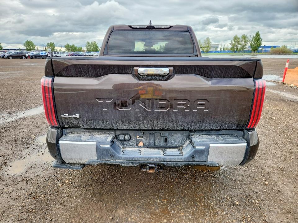 2022 Toyota Tundra 1794 Edition HV