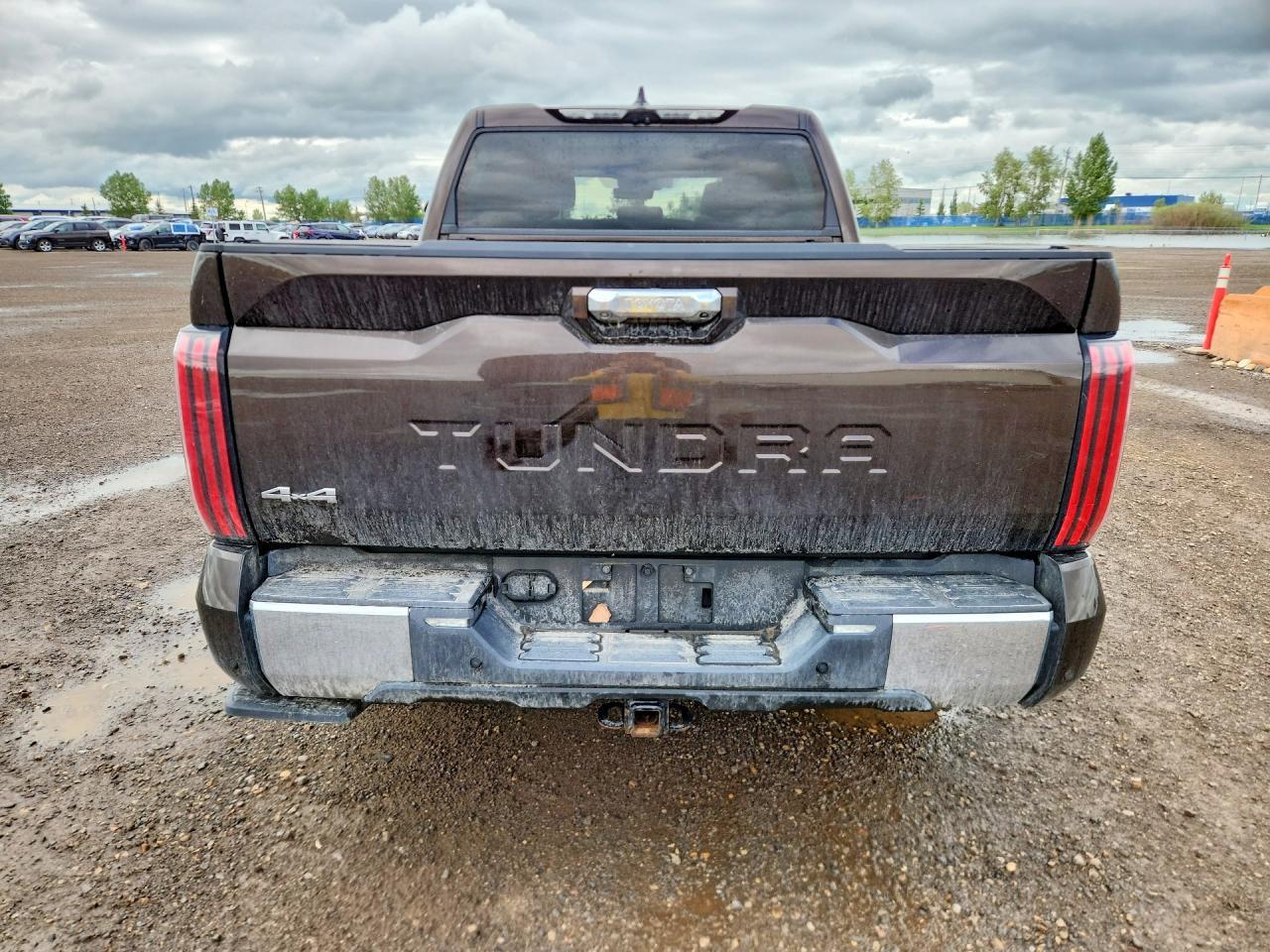 2022 Toyota Tundra 1794 Edition HV