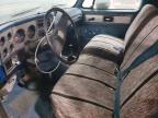 1979 Chevrolet Pick Up Truck
