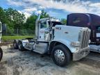 2019 Peterbilt 389 Semi Truck
