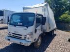 2024 Isuzu NRR
