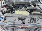 2025 Ford F150 STX