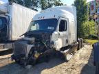 2019 Freightliner Cascadia 116 Semi Truck