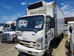 2023 Isuzu NRR en venta en Louisville, KY