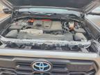 2023 Toyota Tundra Crewmax Limited