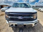 2024 Ford F150 XLT