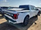 2019 Ford F150 Raptor