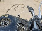 2025 Yamaha MTN320 AC