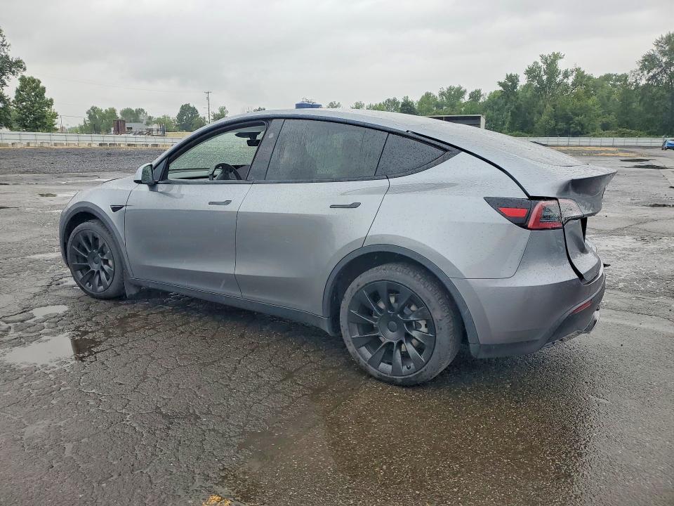 2025 Tesla Model y