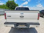 2011 Ford F150X