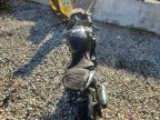 2025 Suzuki GSX800 F