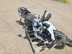 2023 Ducati Multistrada V4