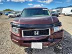 2007 Honda Ridgeline RTX