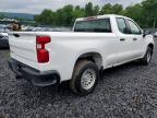 2019 Chevrolet Silverado C1500