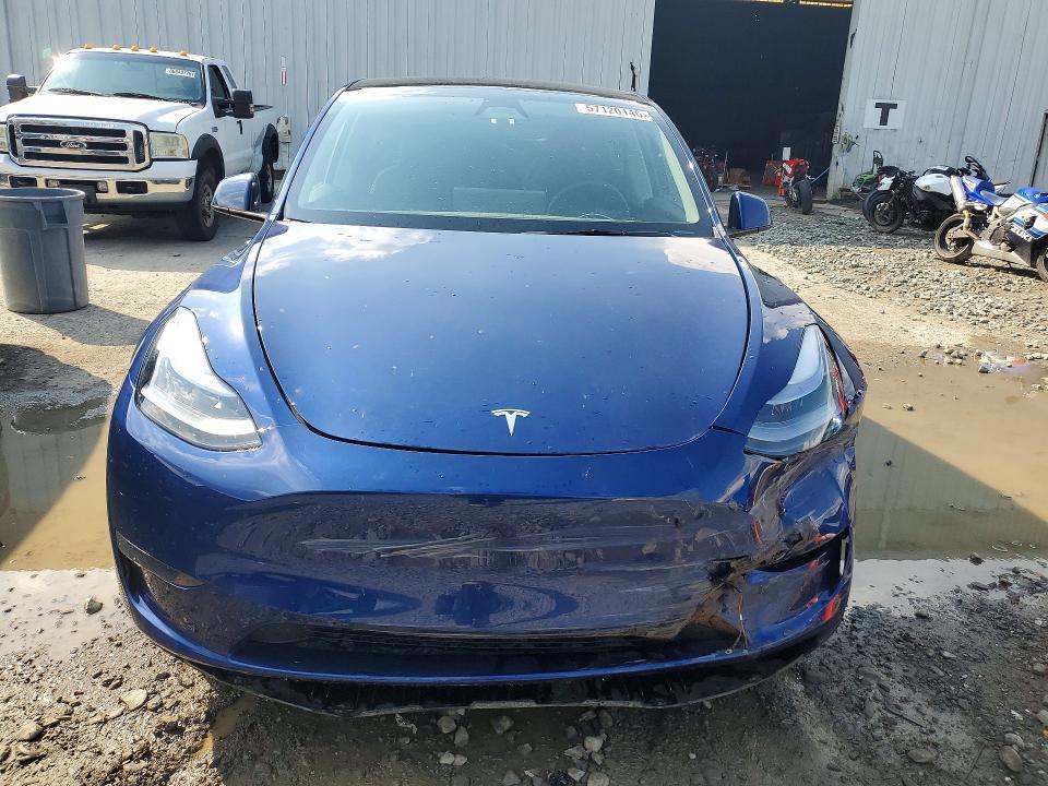 2025 Tesla Model y