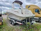 2007 Sea Ray Sundancer 260