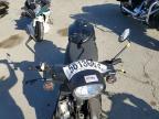 2026 Genuine Scooter Co. Buddy 170I