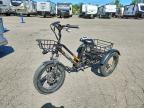 2022 Dw Meigi Electronic FAT Tricycle