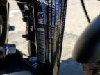 2021 Harley-Davidson XL883 N