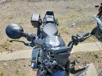 2025 Honda CMX1100 D