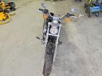 2013 Harley-Davidson XL1200 C
