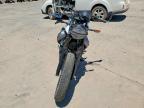 2024 Moto Guzzi V7 Special Edition