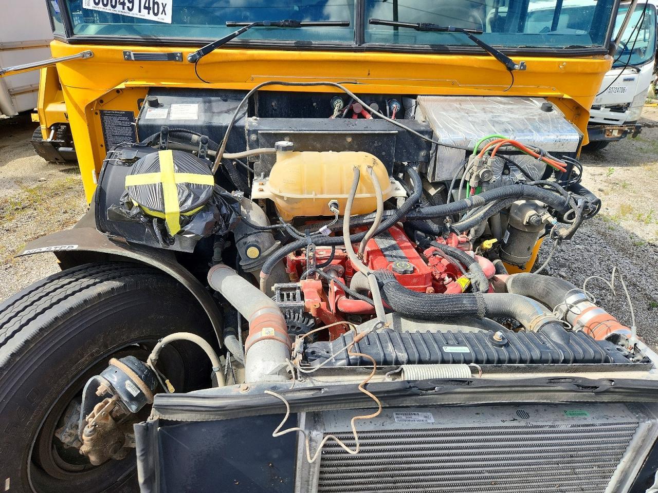 2021 Bluebird 129359