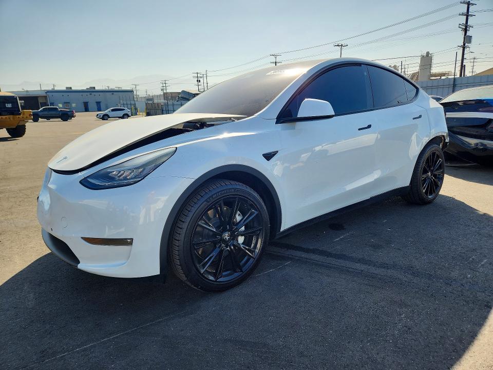 2021 Tesla Model y