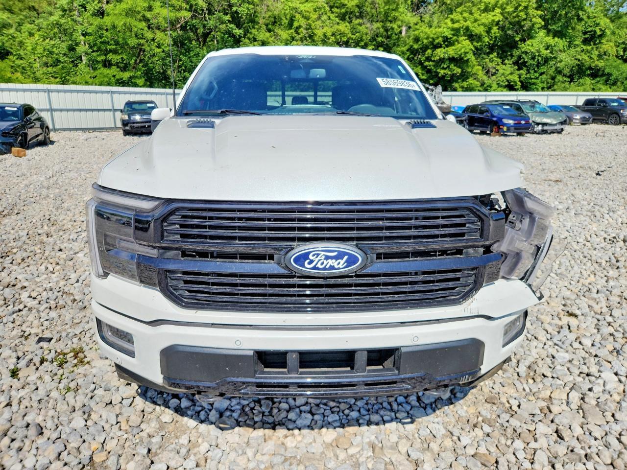 2026 Ford F150 Platinum
