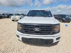 2025 Ford F150 XLT
