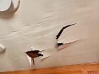 2006 Jayco JAY Flight Camper