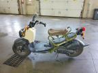 2024 Honda NPS50
