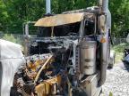 2014 Peterbilt 389-Semi Truck