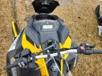 2025 Skidoo Expedition Sports