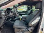 2025 Ford F150 STX
