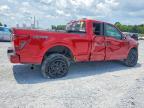 2024 Ford F150 STX