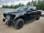 2025 Ford F150 XLT