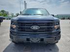 2025 Ford F150 XLT