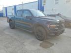 2025 Ford F150 XLT