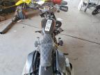 2023 Harley-Davidson Fxbbs