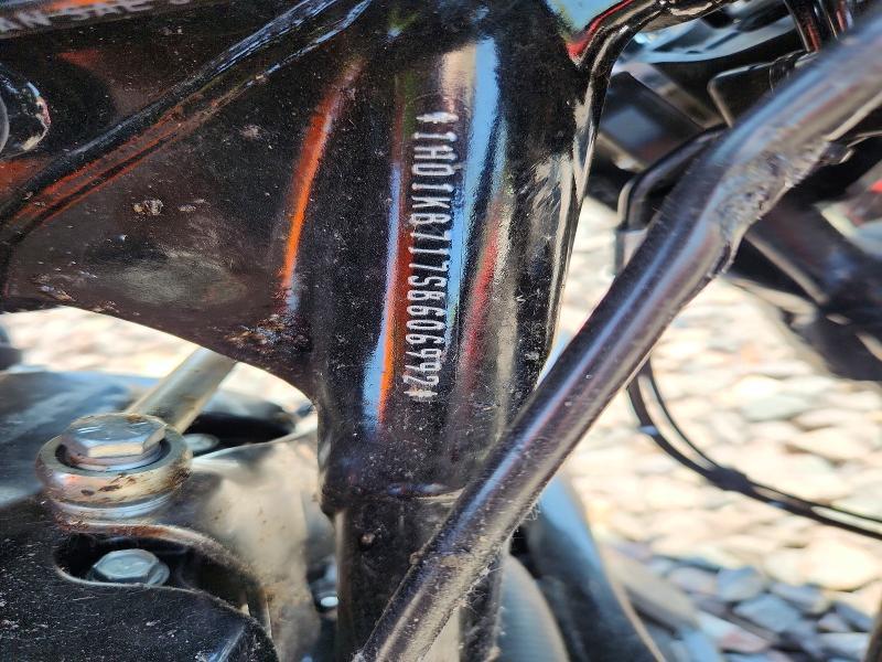 2025 Harley-Davidson Flhx