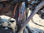 2025 Harley-Davidson Flhx