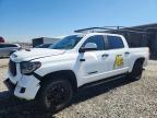 2021 Toyota Tundra TRD PRO