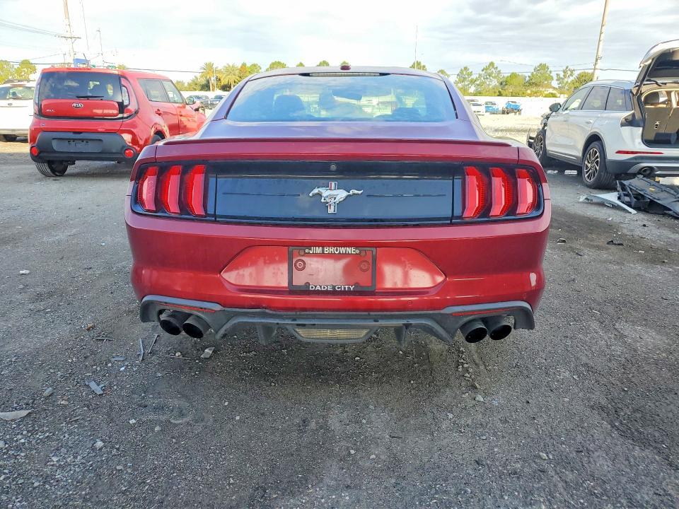 2019 Ford Mustang