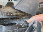 2025 Cf Moto 675SS