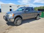 2013 Ford F150