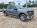 2025 Ford F150 XLT