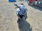 2026 Cf Moto 675SS