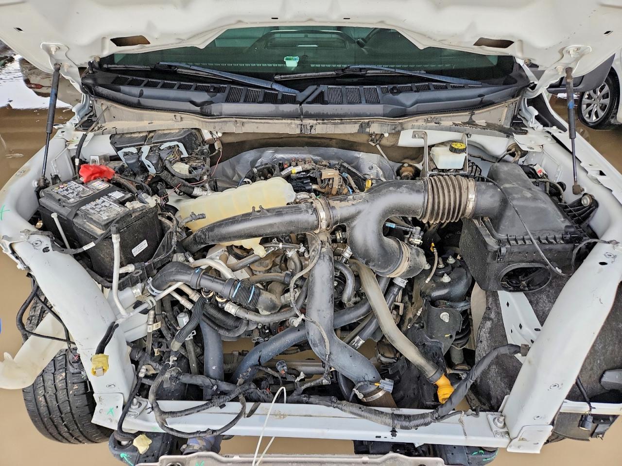 2024 Ford F150 XL