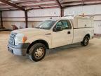 2010 Ford F150